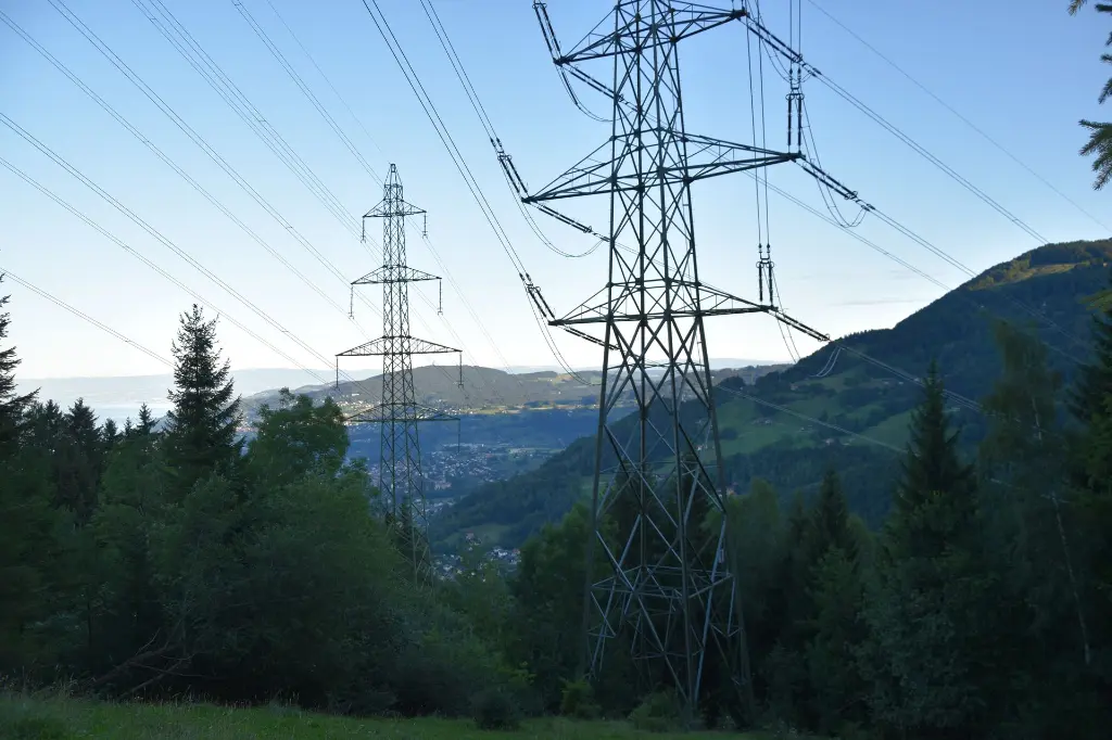 Geobio La Clairière 2019 (184).webp