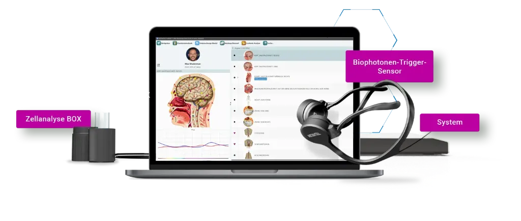 Analyse METAVITAL Human TS Expert 2.0 (analyse enfant)